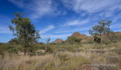 Piste d'accès au parc national Purnululu