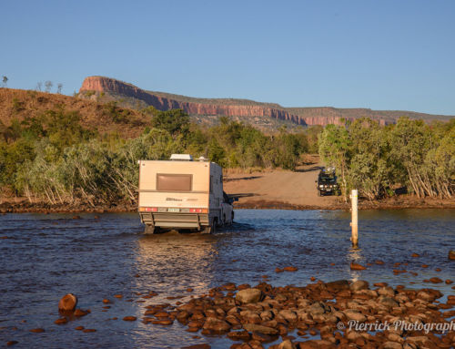 Traversée épique de la Gibb River dans la nature sauvage des Kimberley