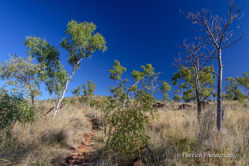 Gibb-river-road-australie-13