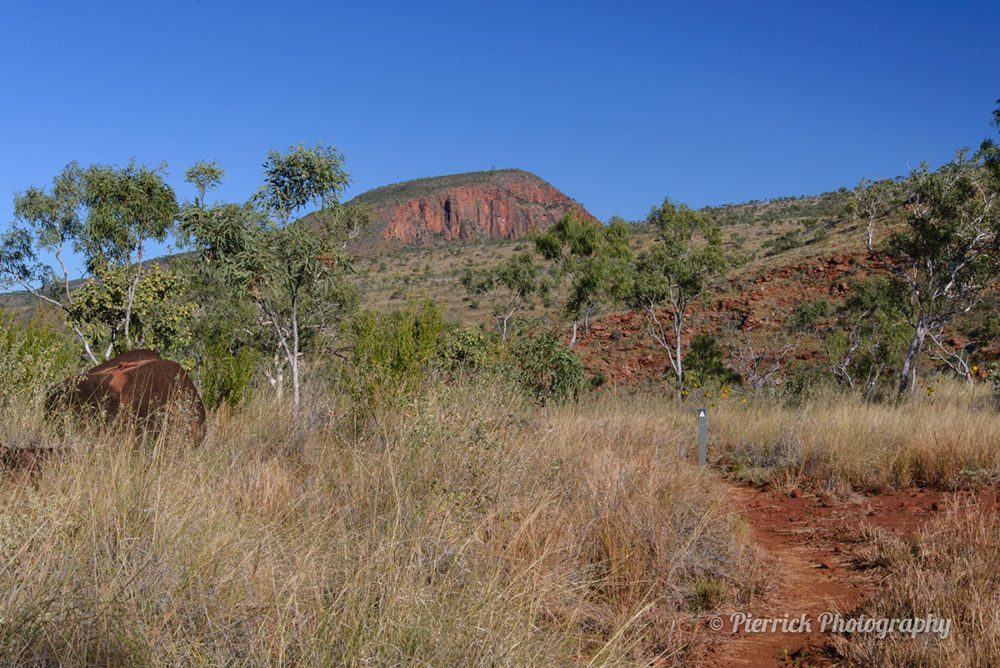 Gibb-river-road-australie-14
