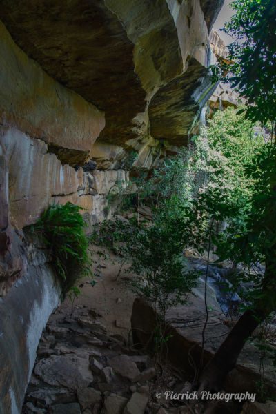 Plateau-Mitchell-Falls-Kimberley-Australie-19