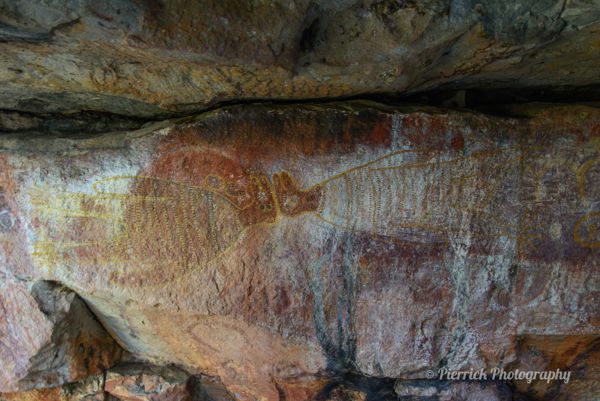 Plateau-Mitchell-Falls-Kimberley-Australie-32