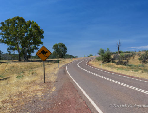 Notre arrivée en Australie : du rêve à la réalité