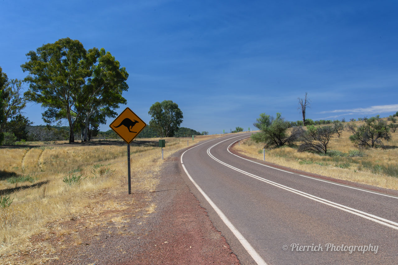 Arrivée en Australie - Préparation du road trip