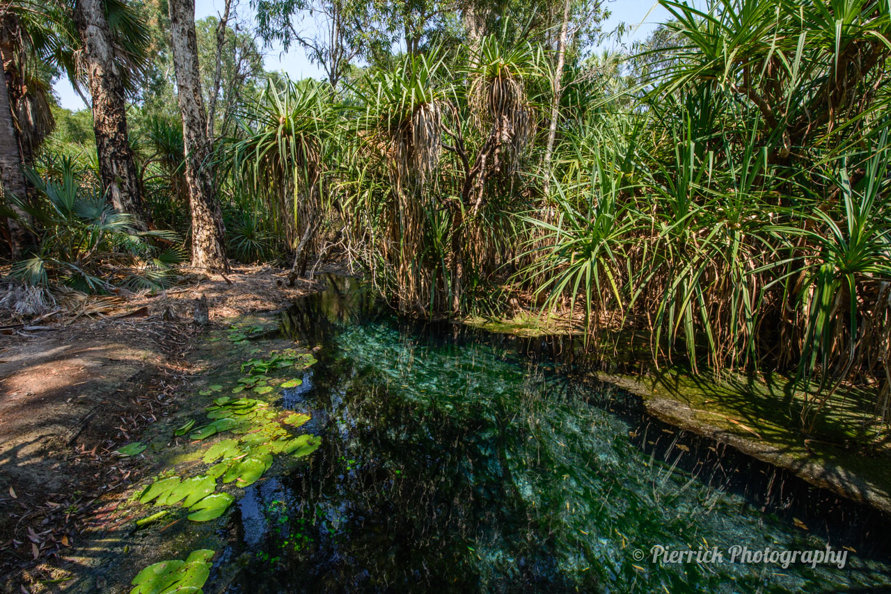 Mataranka - Bitter Springs