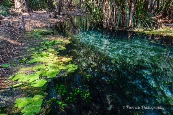 mataranka-bitter-springs-07