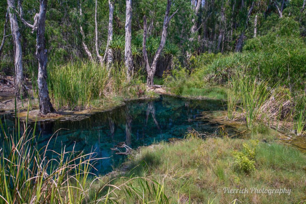 mataranka-bitter-springs-10