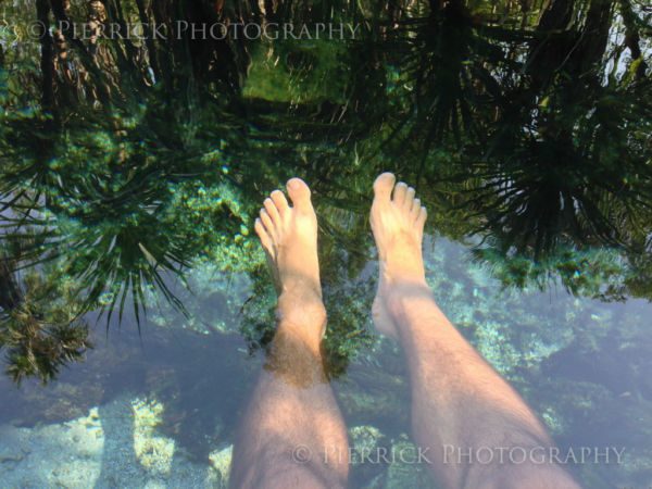 mataranka-bitter-springs-11