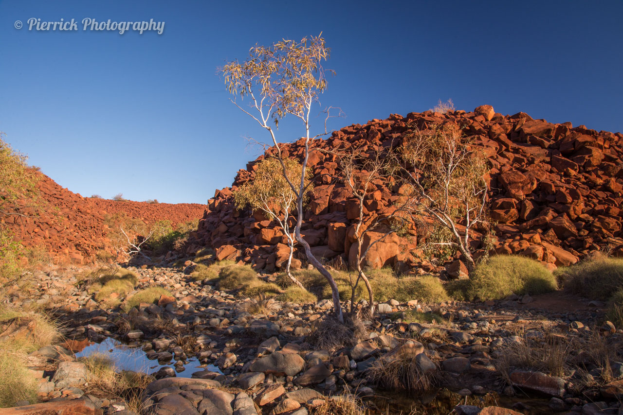 Deep gorge sur la péninsule de Burrup