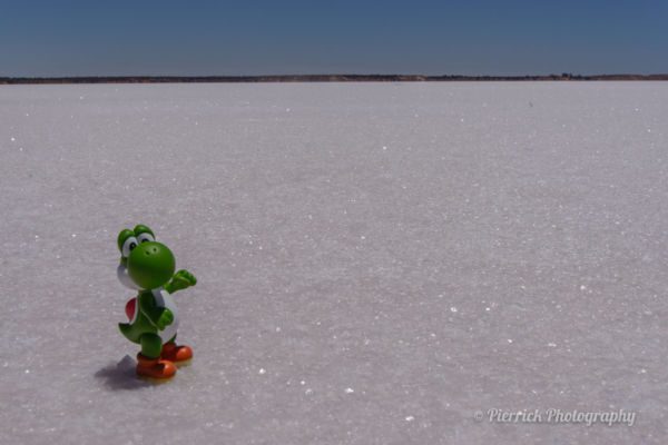 stuart-highway-lac-hart-04