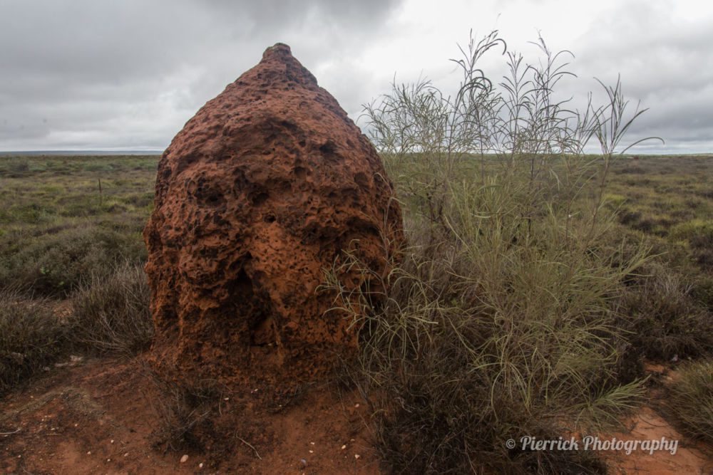 Road-trip-exmouth-01