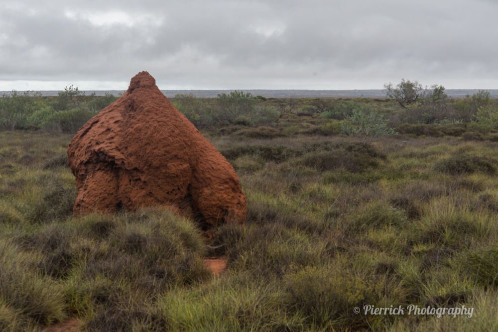 Road-trip-exmouth-02