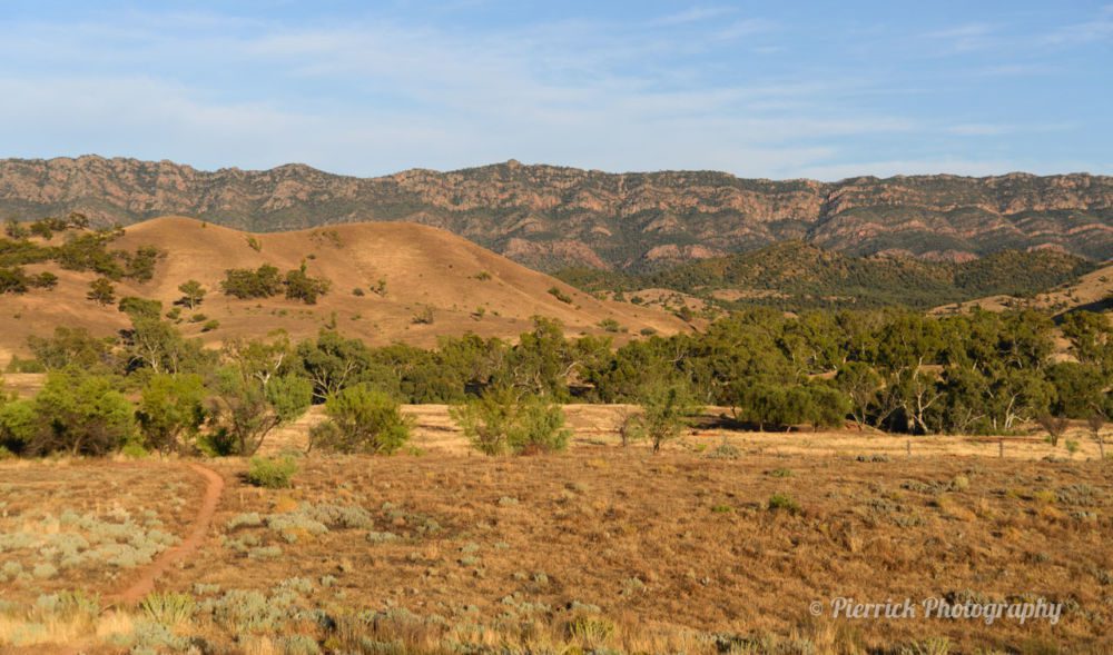 flinders-ranges-06