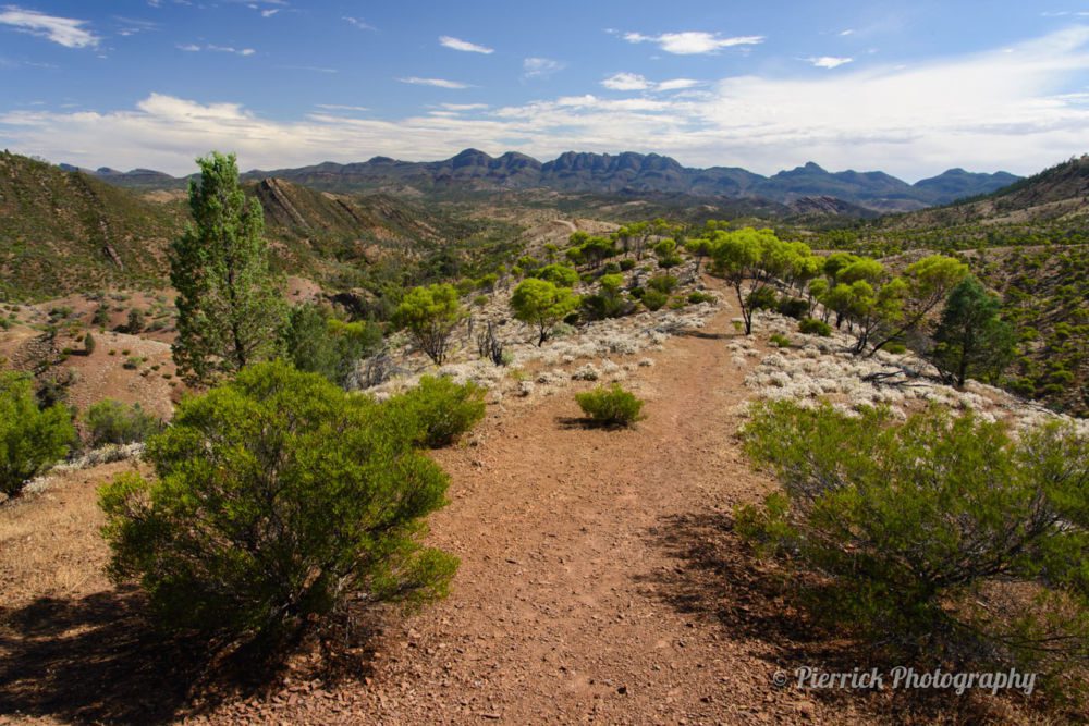flinders-ranges-14