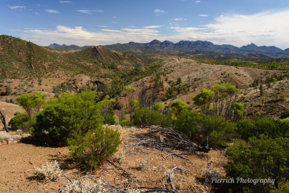 flinders-ranges-15