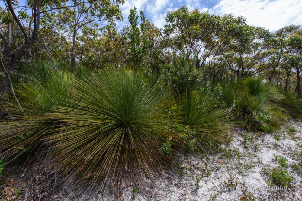 jervis-bay-parc-national-booderee-circuit-trail-1