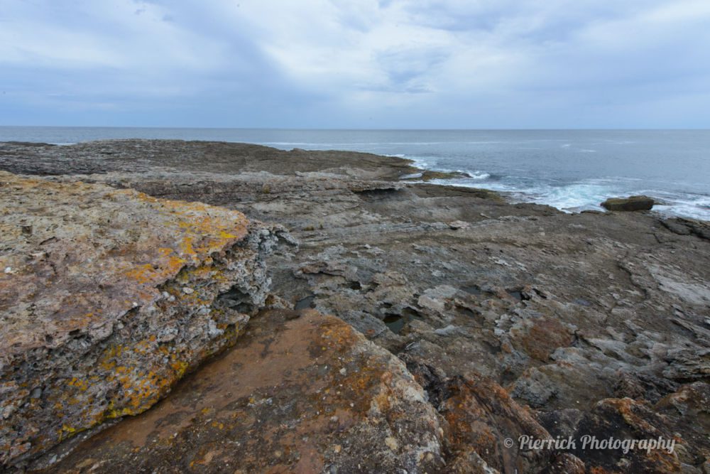 jervis-bay-parc-national-booderee-st-georges-head-3