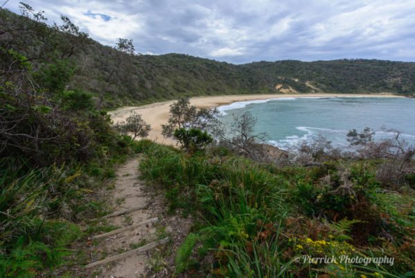 jervis-bay-parc-national-booderee-steamer-beach-4