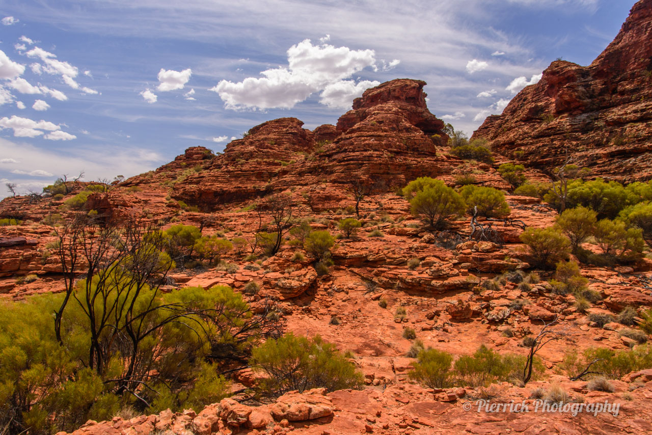 Kings canyon rim