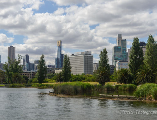 Un tour du circuit de formule 1 dans l’Albert park à Melbourne