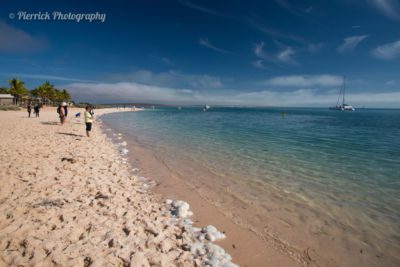 Plage de Monkey Mia à Shark bay