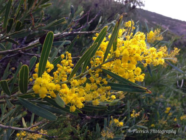 Fitzgerald-river-national-park-47