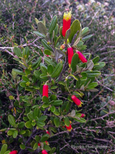 Fitzgerald-river-national-park-51