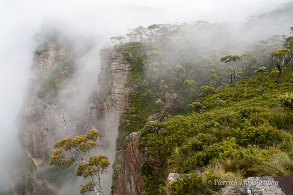 parc-national-blue-mountains-01