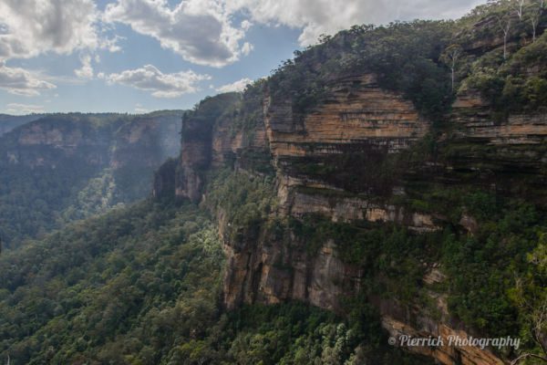 parc-national-blue-mountains-28