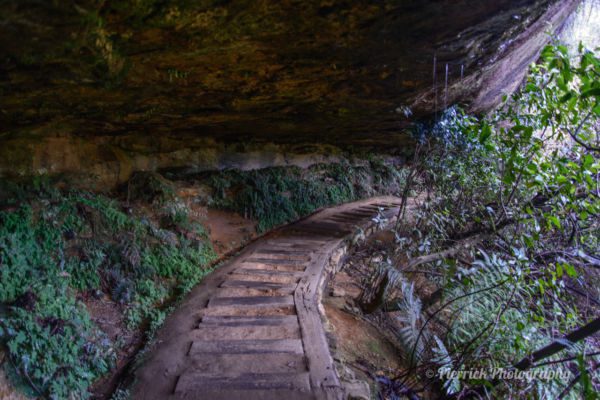 parc-national-blue-mountains-32