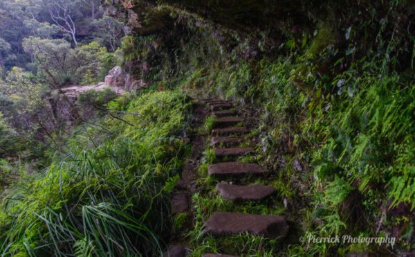 parc-national-blue-mountains-34