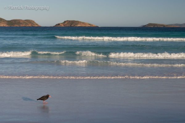 Parc-national-Cape-Le-Grand-12