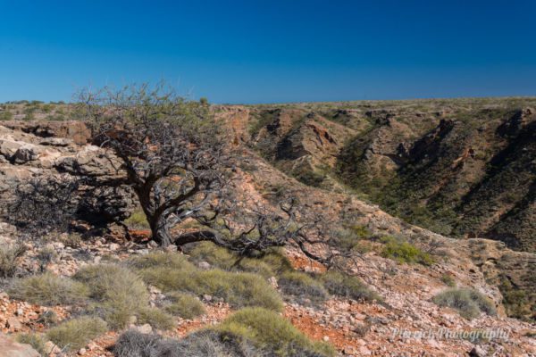 parc-national-cape-range-42