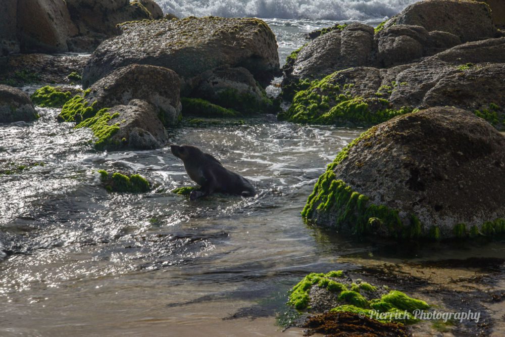 Parc-national-Croajingolong-Point-hicks-reserve-09
