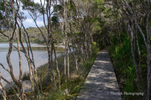 Parc-national-Croajingolong-fly-cove-01