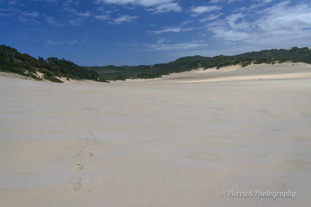 Parc-national-Croajingolong-thurra-dunes-05