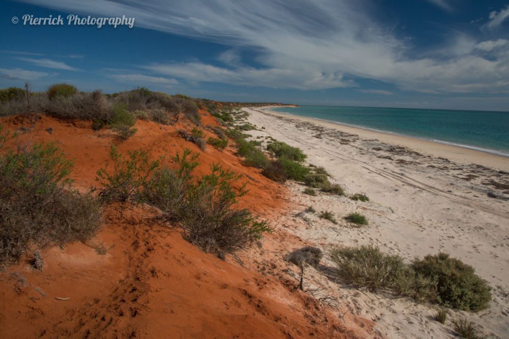 parc-national-francois-peron-07