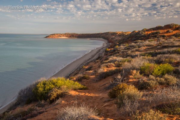 parc-national-francois-peron-17