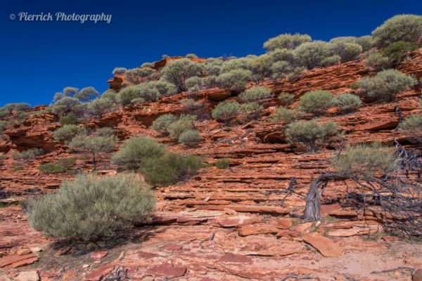 parc-national-kalbarri-39