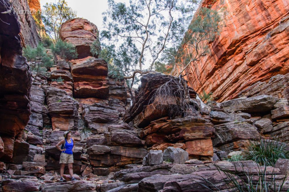 parc-national-kalbarri-44