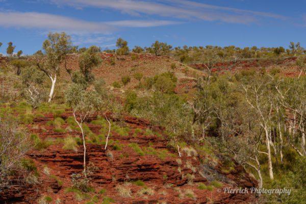 parc-national-karijini-108