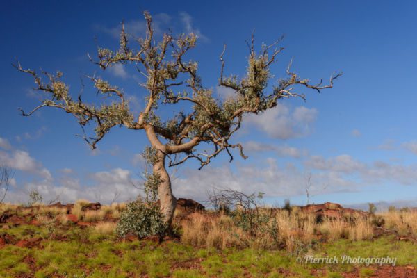 parc-national-karijini-21
