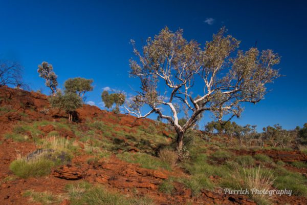 parc-national-karijini-41