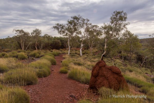 parc-national-karijini-73