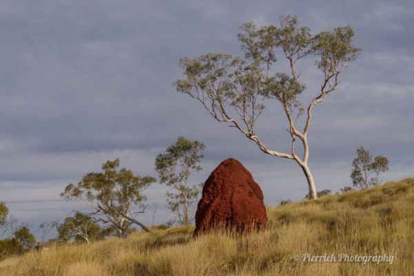 parc-national-karijini-84