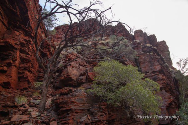 parc-national-karijini-90