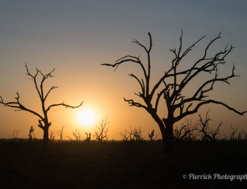 Atmosphère de fin du monde autour du parc national Kinchega