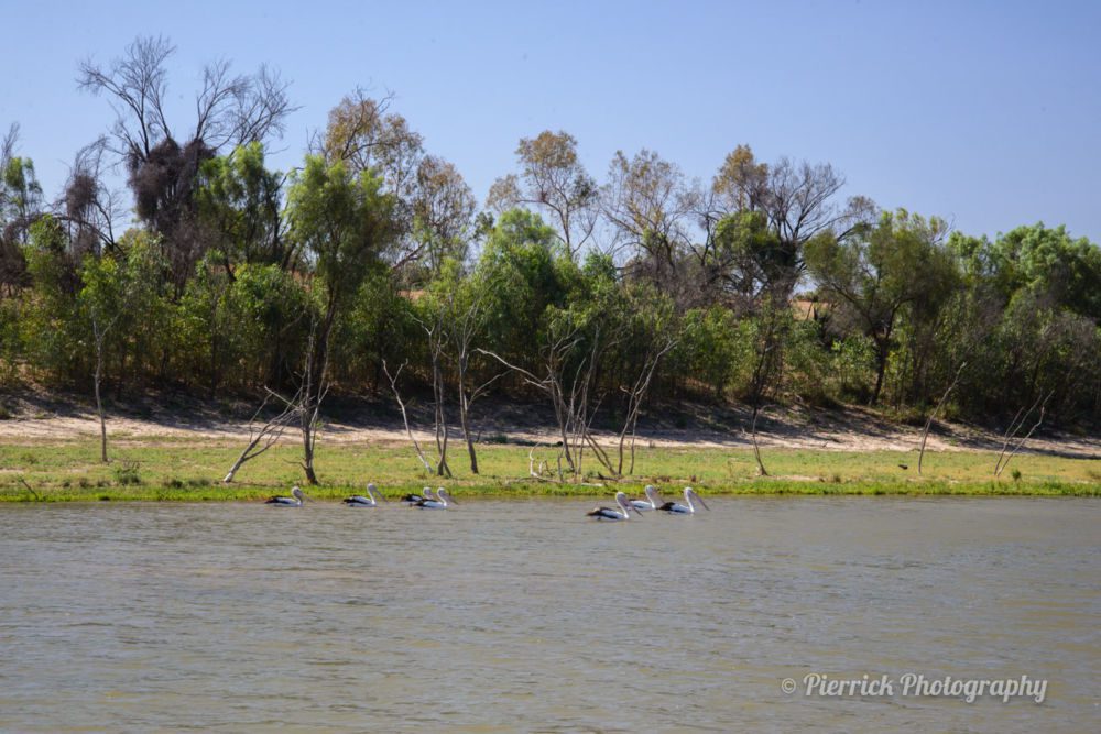 Parc-national-kinchega-04