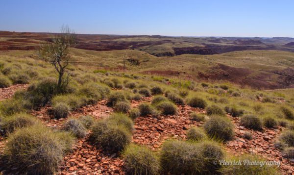 parc-national-millstream-chichester-02