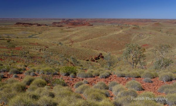 parc-national-millstream-chichester-04